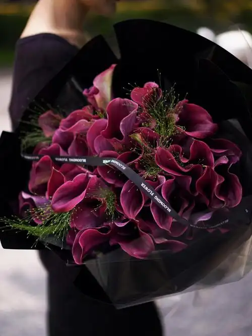 今日份豪海芋花束太可拉高级感