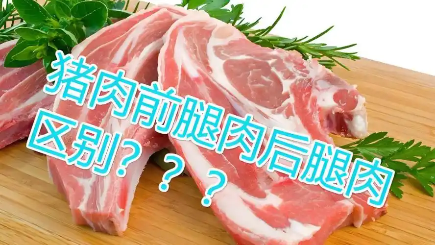 n虽然同为猪肉,但不同部位的肉质口感差异显著
比如前腿肉和后腿肉