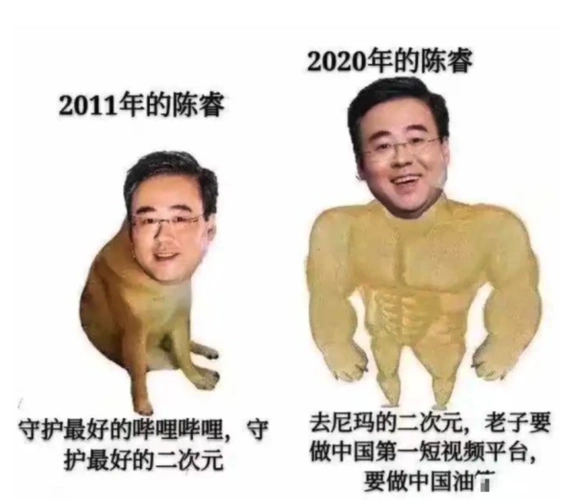 其实答案很简单,陈睿加入b站后,虽然帮助b站发展壮大,但与此同时,说的