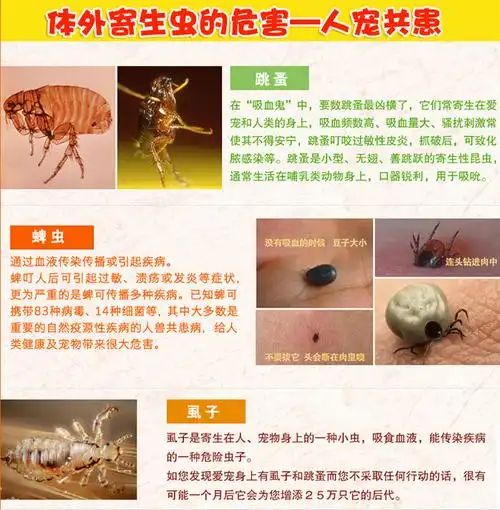 宠物用品 灭虫宁体外驱虫滴剂猫狗杀跳蚤虱子 宠物医药杀虫剂
