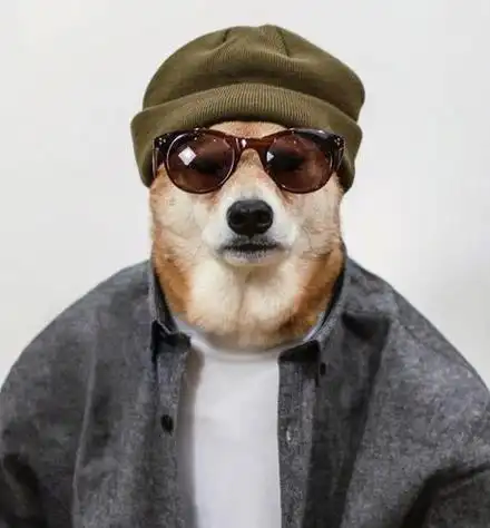 狗头头像酷酷的 头像图片大全 -【爱个性】