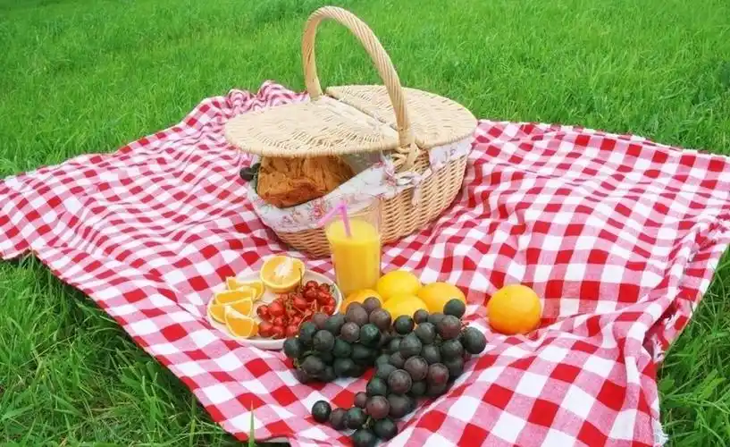 出游必备:瘦子的健康野餐篮小食