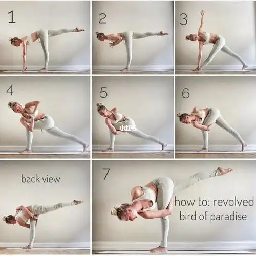 扭转天堂鸟式怎么进入