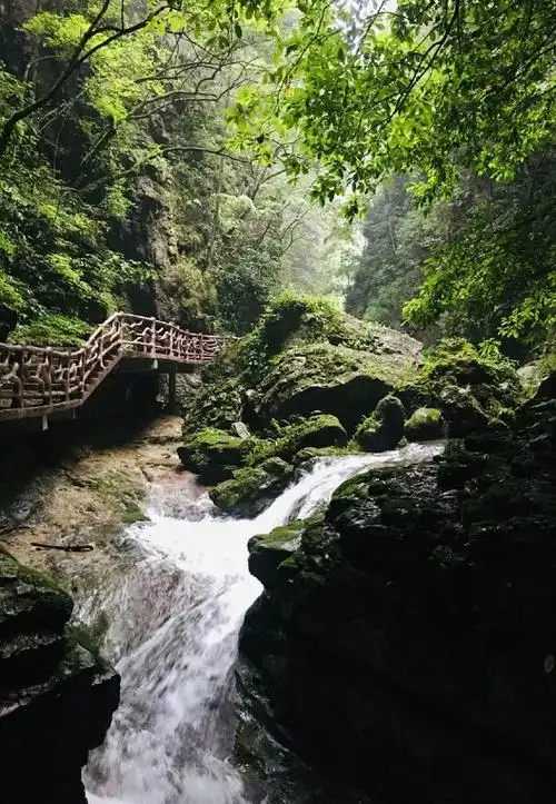 南津关大峡谷请你喝奶茶咯