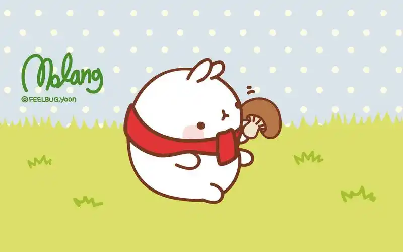 韩国可爱胖乎乎卡通兔子高清桌面壁纸