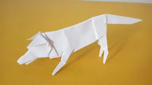 折纸四:野生动物篇