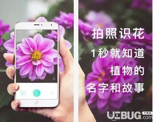 形色app下载-形色(拍照识花软件)v3.13.3 安卓版-ucbug软件站