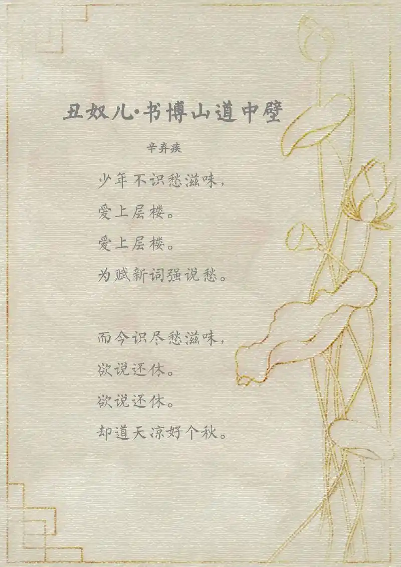 《丑奴儿·书博山道中壁》#古诗词 #每日推文  少年不识愁滋 - 抖音