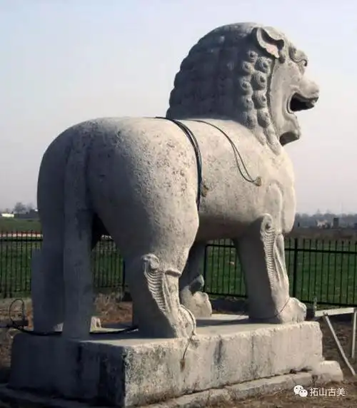 唐顺陵石狮