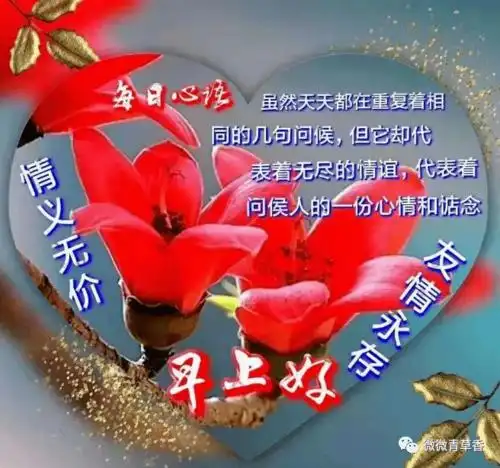 早上好老朋友,情义无价,友谊永存