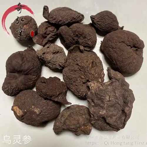 中药材乌灵参乌灵参批发零售