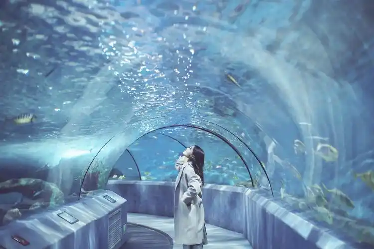 青春养眼的美女海底世界唯美的写真图片