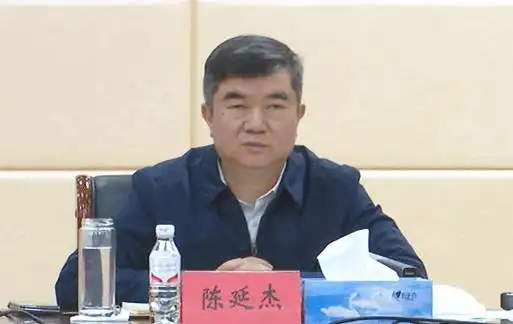 3月27日晚,区委书记陈延杰主持召开疫情防控工作调度会,路军强,董广俊