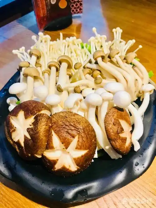 呷哺呷哺(立丰购物广场店)菌类拼盘图片 - 第1张