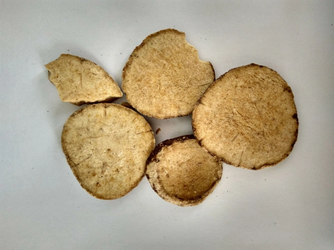 你知道泽泻是什么吗?