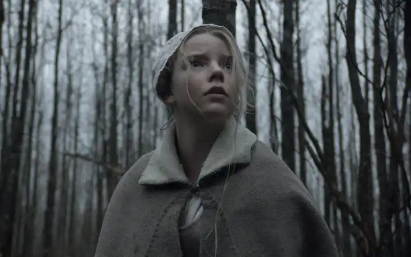 360影视-影视搜索