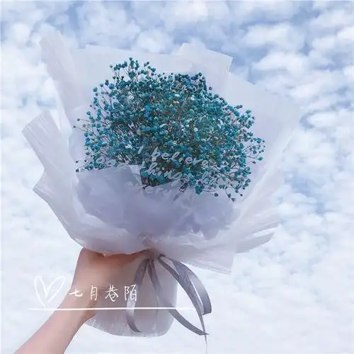 满天星ins干花花束礼盒七夕生日情人节送女友闺蜜拍照毕业礼物