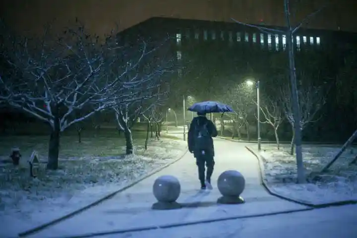 滨海曲影风雪夜归人