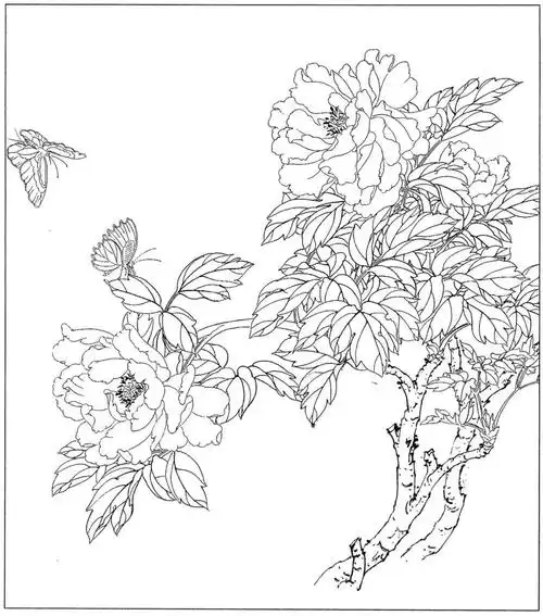 花卉白描线稿分享给你简单易学收藏起来临摹