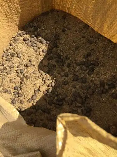 常年供应生产羊粪厂家内蒙古发酵纯羊粪