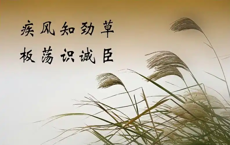 疾风知劲草 板荡识诚臣——历史网络教研与你同在