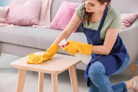 女清洁工打扫房间桌子照片