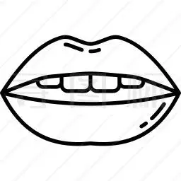 嘴唇