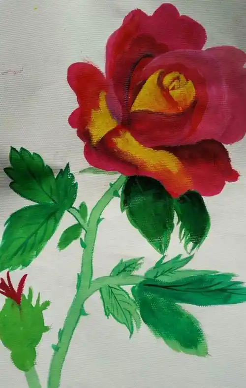 希望能满足您的需求,查找更多水粉画玫瑰,水粉画玫瑰花简单画法步骤