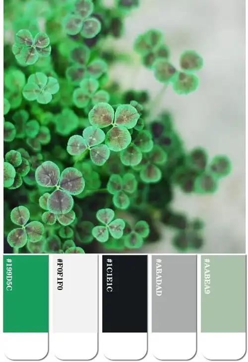 年度色彩| 2023年度最美的十个绿色配色