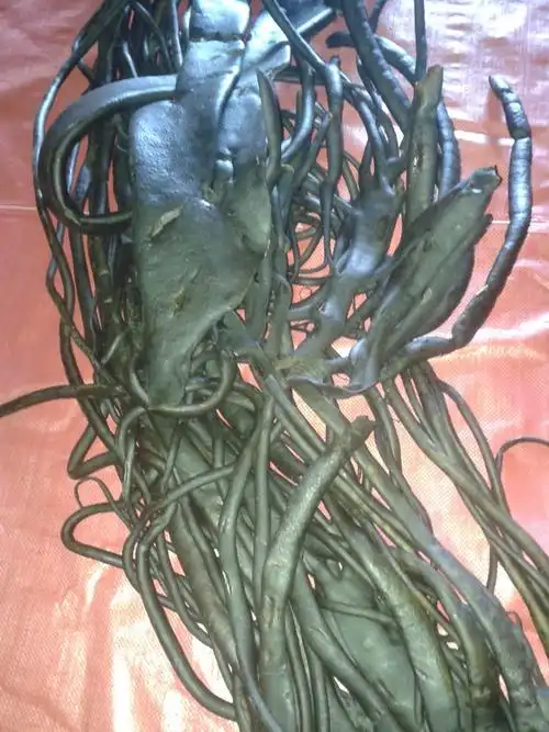 海茸怎么进口,如何清关最省时间?