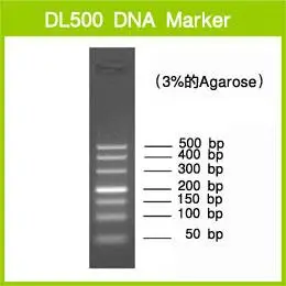 3590b dl500 dna marker 约200 次_takara