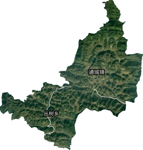 通城镇高清卫星地图