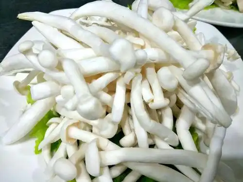 火锅《蘑菇宴》