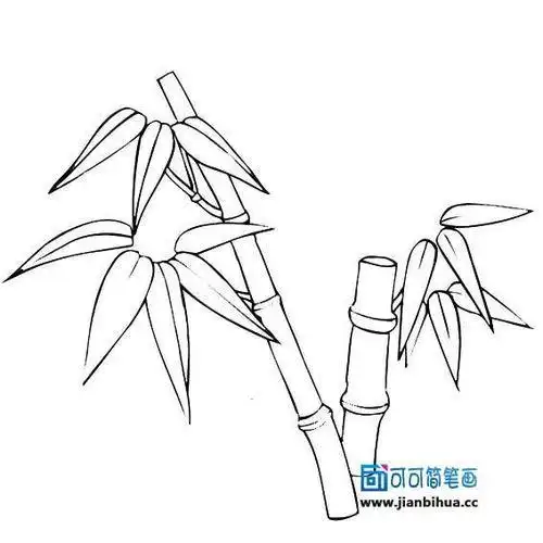竹子的画法铅笔画步骤图片搜索国画竹的画法竹子的简笔画图片竹子的