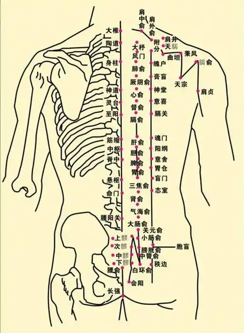 为什么三伏天艾灸这么重要?