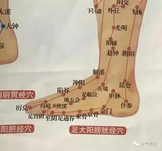 天冷了听说你还在露脚踝不想活了