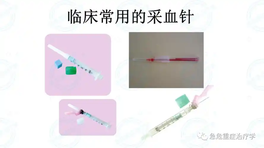 ppt动脉血气分析采集方法及注意事项