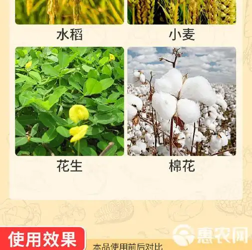 快递5%苄氨基嘌呤催花芽分化保花保果细胞分裂素叶面肥生长调节剂农药