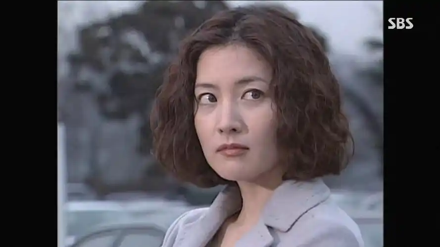 韩剧 火花 超清韩语无字 李英爱 2000 1080p 32集全 百度网盘