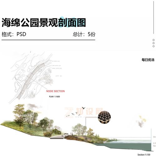 【景观大数据】5张海绵公园剖面图psd源文件