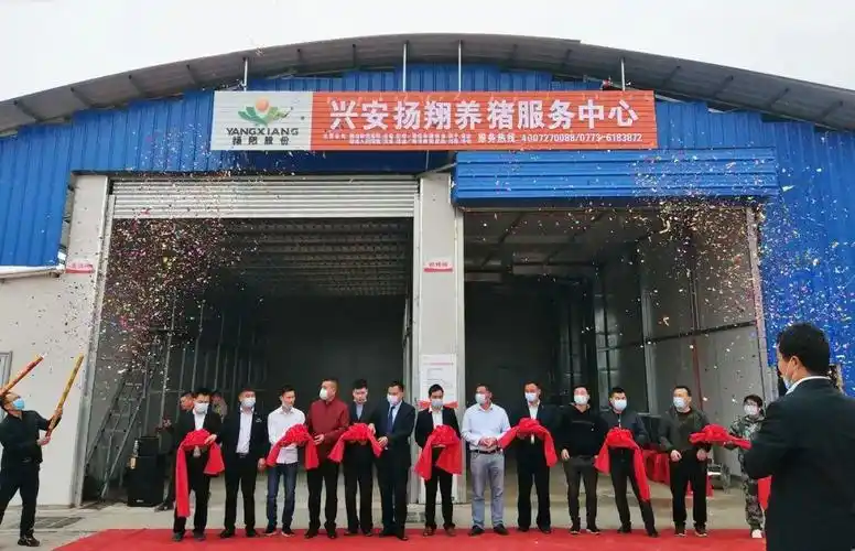 猪场防火墙它来帮您造扬翔首家养猪服务中心开张