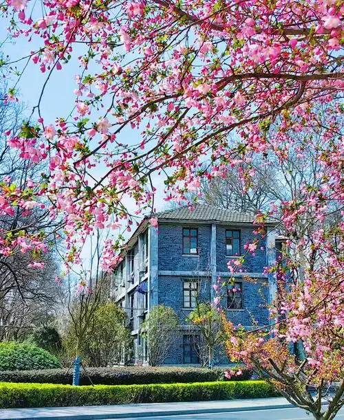 春满校园(二)-安徽农业大学-招生信息网本科