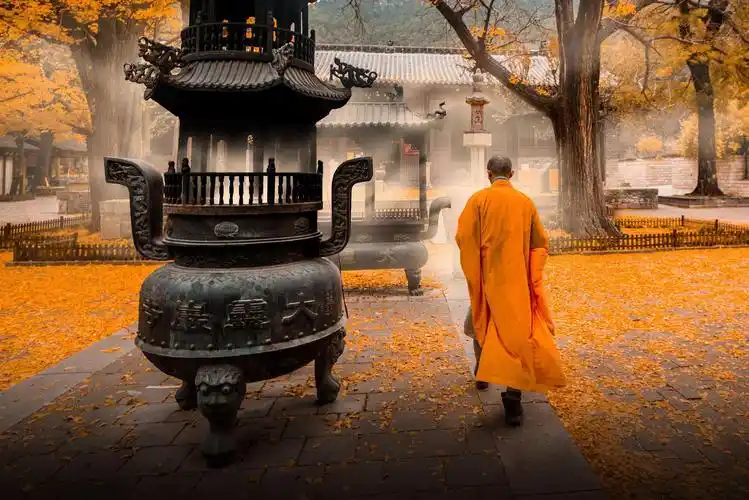 寺庙经济并不佛系