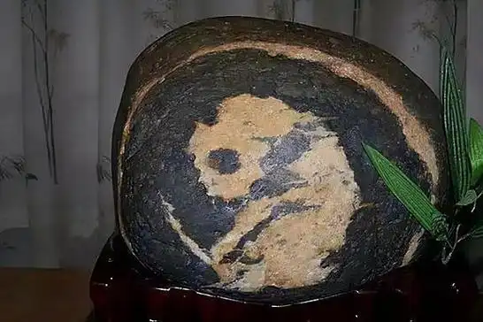 山东男子捡到熊猫奇石,有人出价百万也不卖,专家估值1.5亿