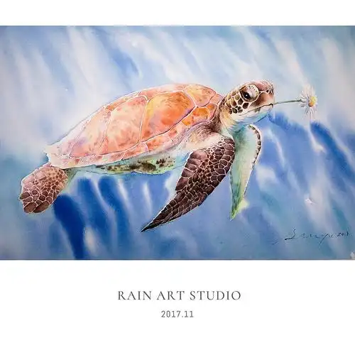 水彩 海龟