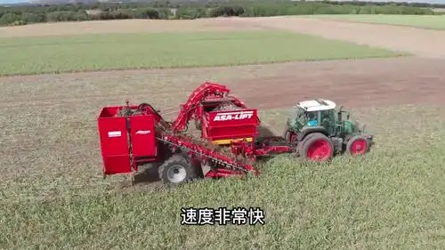 德国"大蒜"收割机,一小时收割20亩,全程机械化作业