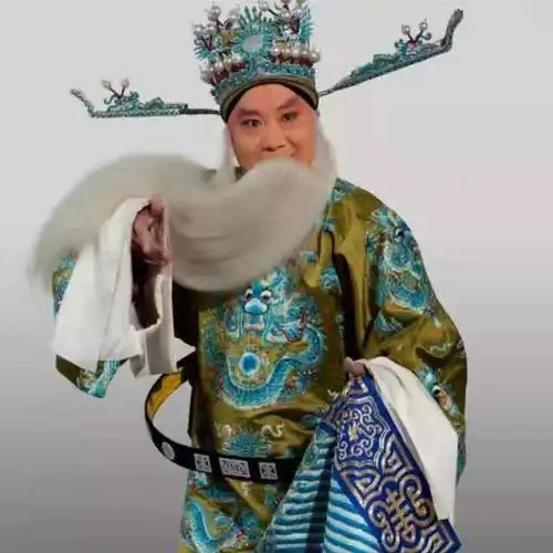 中国戏剧梅花奖得主,天津梆子剧院著名银派表演艺术家——王少华
