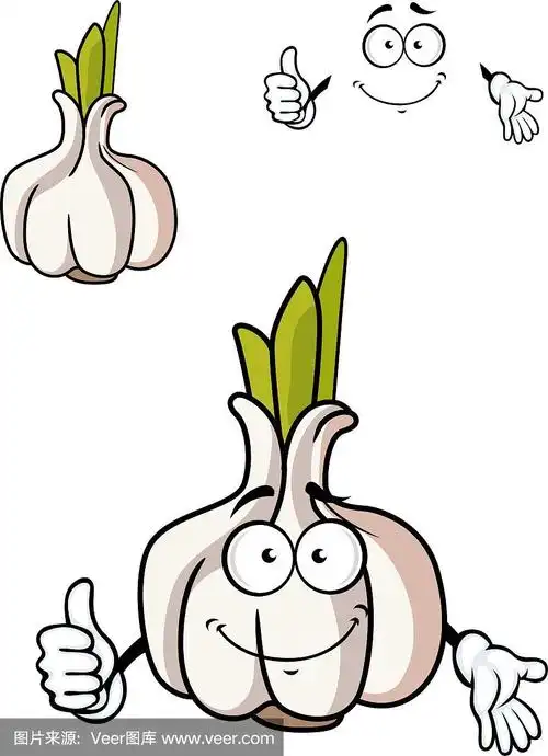 卡通新鲜大蒜球