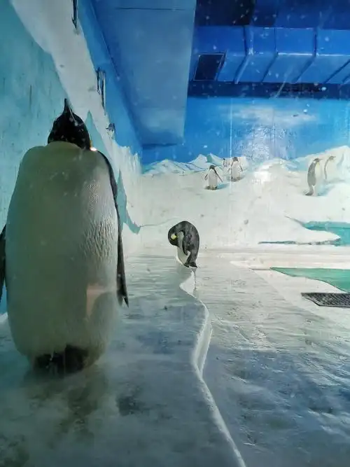 天津海昌极地海洋世界