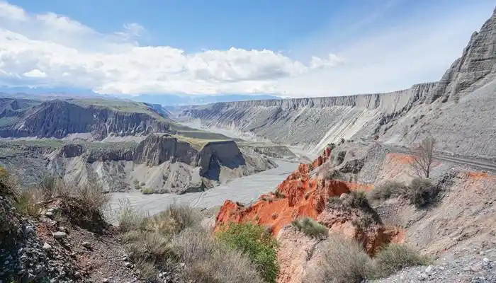 江西七朵金花是什么七朵金花代表什么